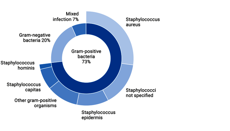 Diagram Distribution of the causative pathogens and their Gram stainability based on the extensive data of the BASICS study 